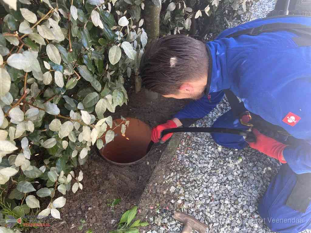 Rioolvliegjes Veenendaal Rioolvliegjes Veenendaal